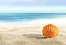 有機(jī)錫穩(wěn)定劑有毒嗎